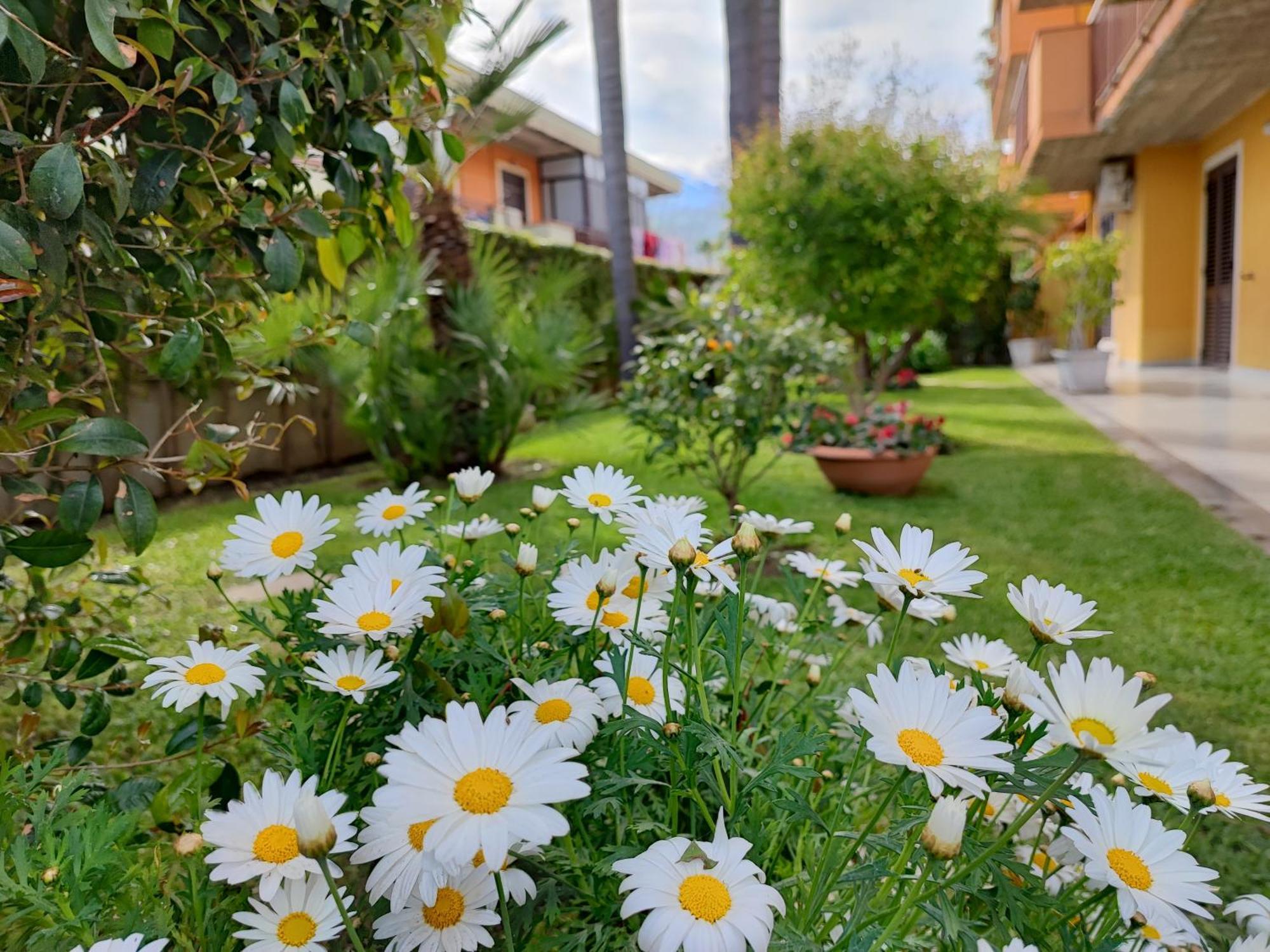 Maresole Tra L'Etna E Taormina Διαμέρισμα Mascali Εξωτερικό φωτογραφία